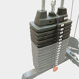SP50 Доп. весовой стек к силовым тренажерам "G" (5 шт.*10 фнт./4.53 кг.)