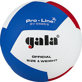 Мяч вол. GALA Pro-Line 12, BV5595SA, р. 5,синт.кожа ПУ Microfiber,клееный,бут.кам,бело-гол--красный